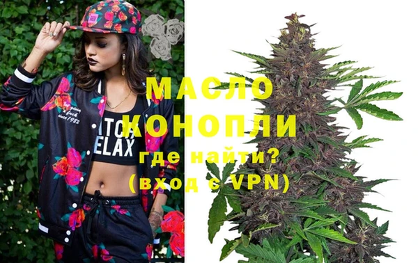 мет Алексин