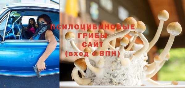 mdpv Алзамай