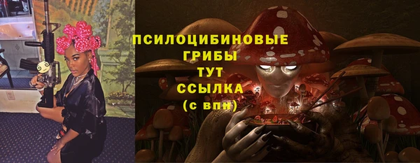 стафф Алексеевка