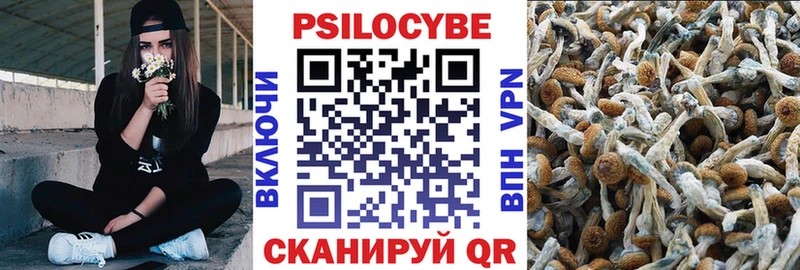 Псилоцибиновые грибы Psilocybine cubensis  ссылка на мегу ССЫЛКА  даркнет наркотические препараты  наркота  Куровское 