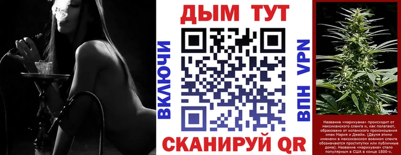 как найти закладки Куровское Бошки марихуана сатива
